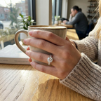 Jewelry & Handbag Deals™ Classic Six-Prong Brilliant Solitaire Ring in 18K Solid Gold